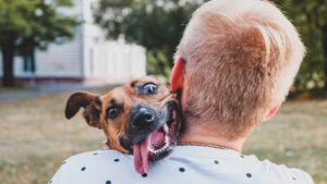 person hold happy dog over shoulder