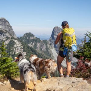 person hiking with two dogs
