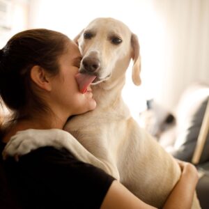 Companionship