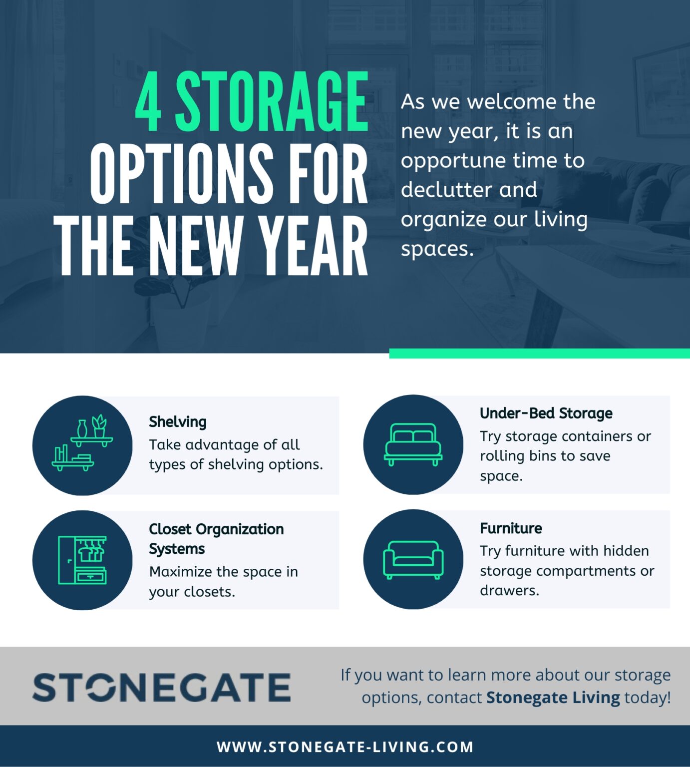 4 Storage Options For The New Year Infographic