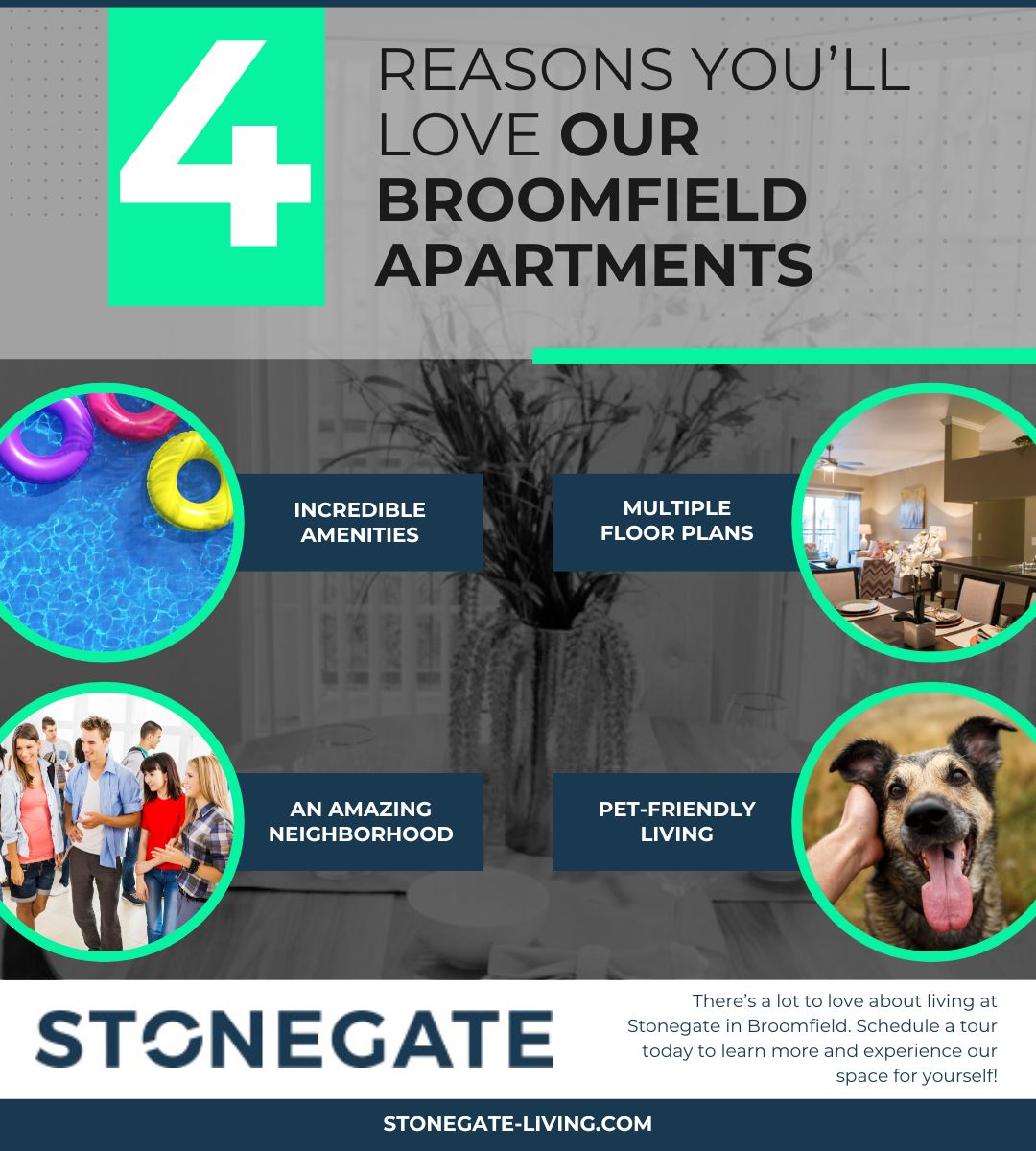 Broomfield apartments infographic