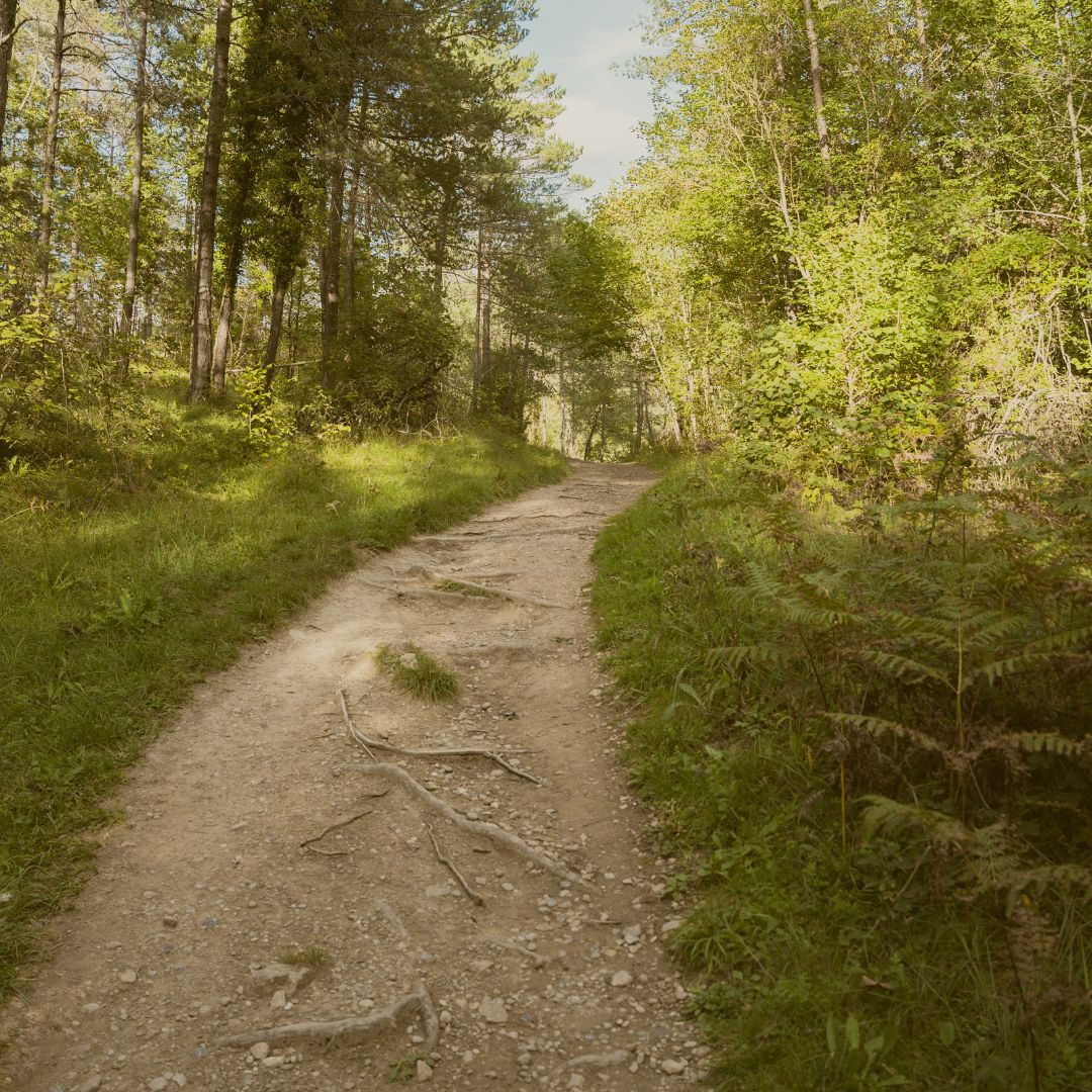 hiking trail